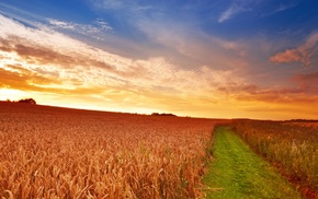 nature