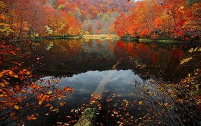 lake, reflection, nature, water