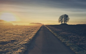 nature