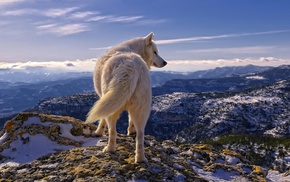 nature