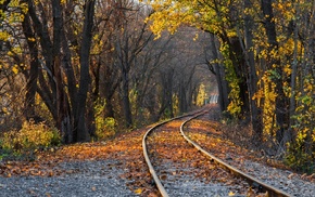 railway, forest