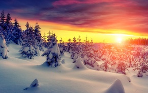 sunset, snow, landscape, trees