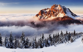 nature