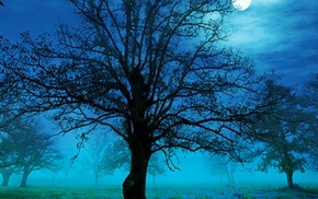 nature