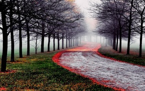 nature