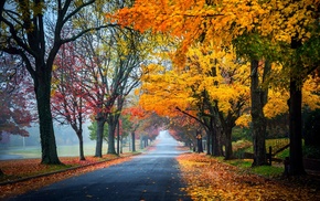 nature