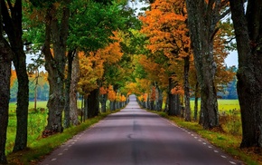 nature