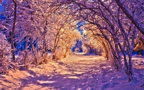 landscape, winter, nature