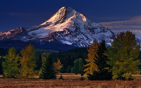 nature
