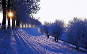 nature
