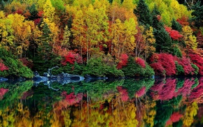 nature