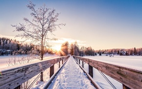 nature
