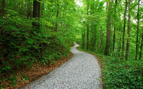 nature