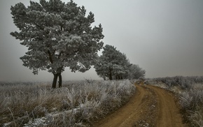 winter, trees, snow, ice, landscape, nature