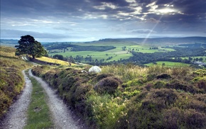 nature, landscape