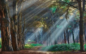 nature