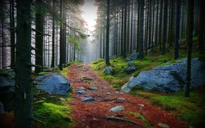 nature