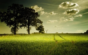 nature