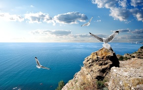 nature
