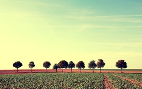 nature