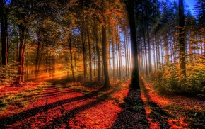 nature