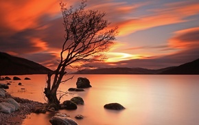 nature