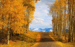 nature
