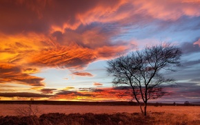 nature