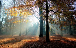 nature