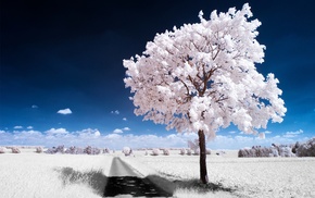 nature