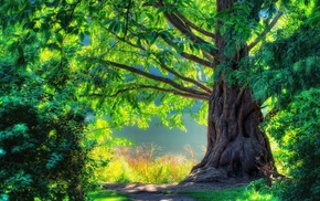 nature