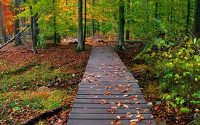 nature