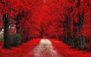 nature