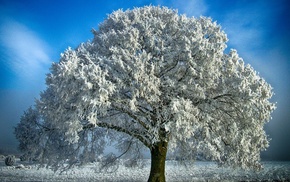 nature