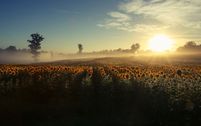 nature