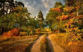 nature
