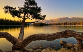 nature