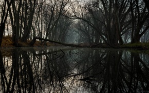 nature