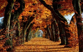 nature
