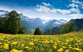 nature