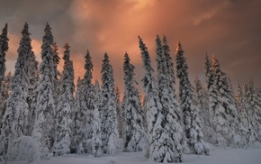 nature