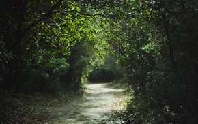 nature