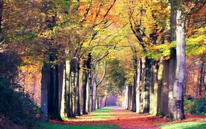 nature