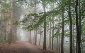 nature