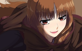 Holo, Spice and Wolf