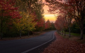 road, landscape, trees