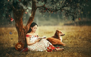 trees, Asian, dog, butterfly, books