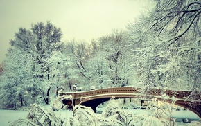 snow, winter, bridge