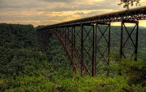 landscape, forest, bridge