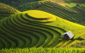 nature